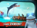 shark1